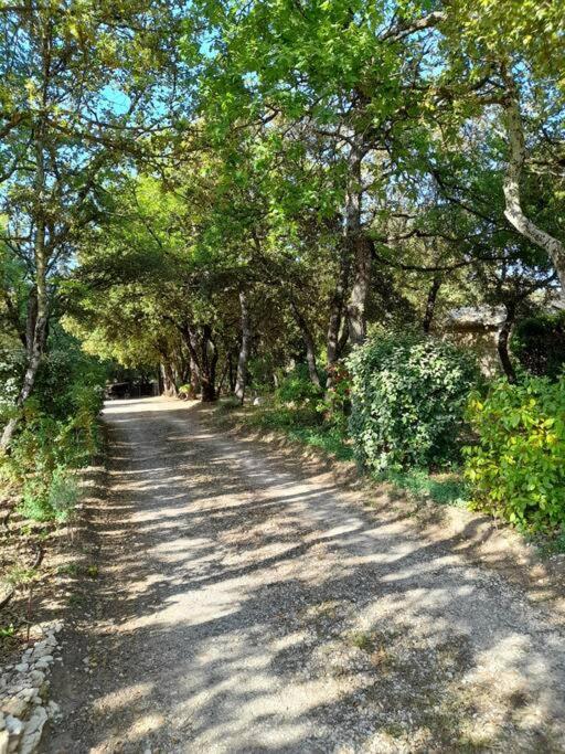 Villa Le Bosquet En Luberon. Ménerbes Extérieur photo