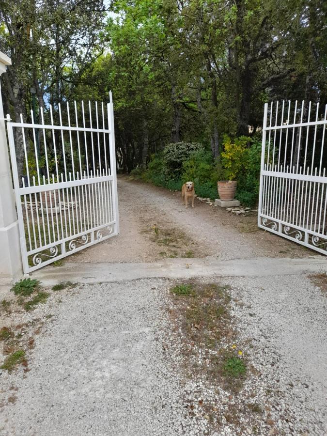 Villa Le Bosquet En Luberon. Ménerbes Extérieur photo